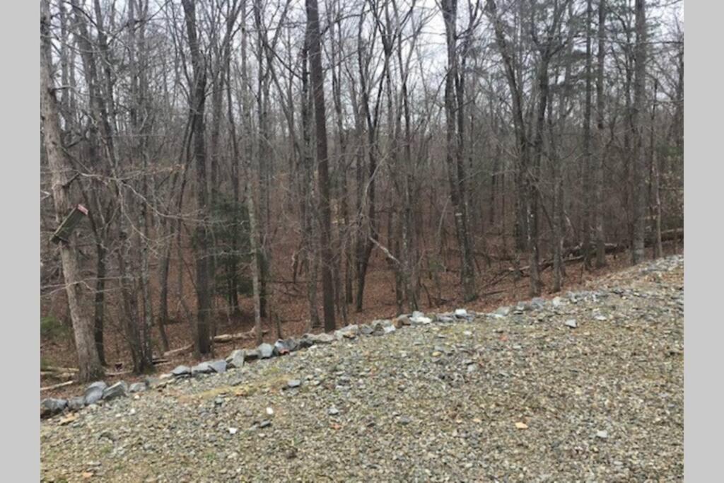 Eagle Mountain River Retreat Ellijay Bagian luar foto