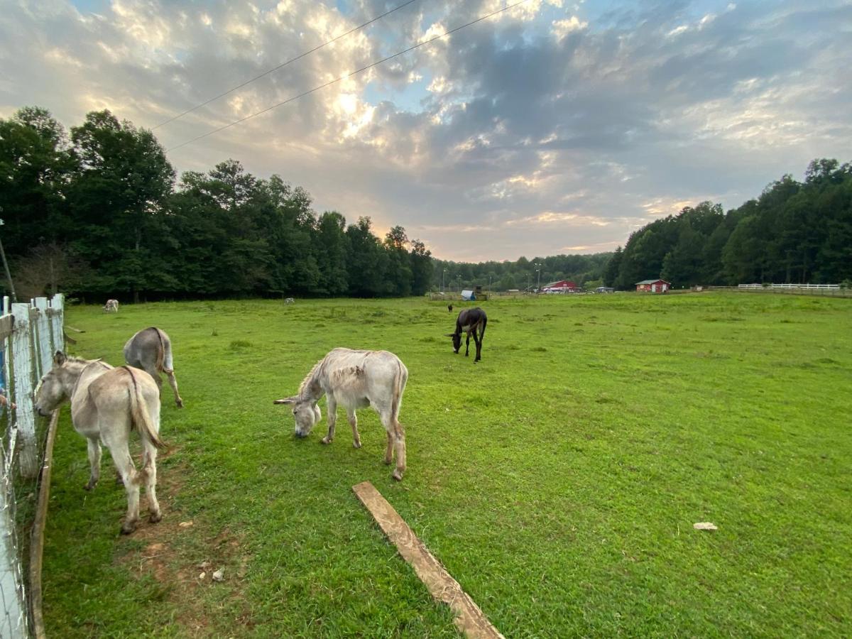 Eagle Mountain River Retreat Ellijay Bagian luar foto