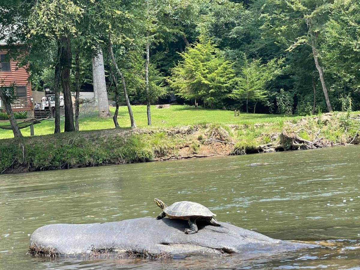 Eagle Mountain River Retreat Ellijay Bagian luar foto