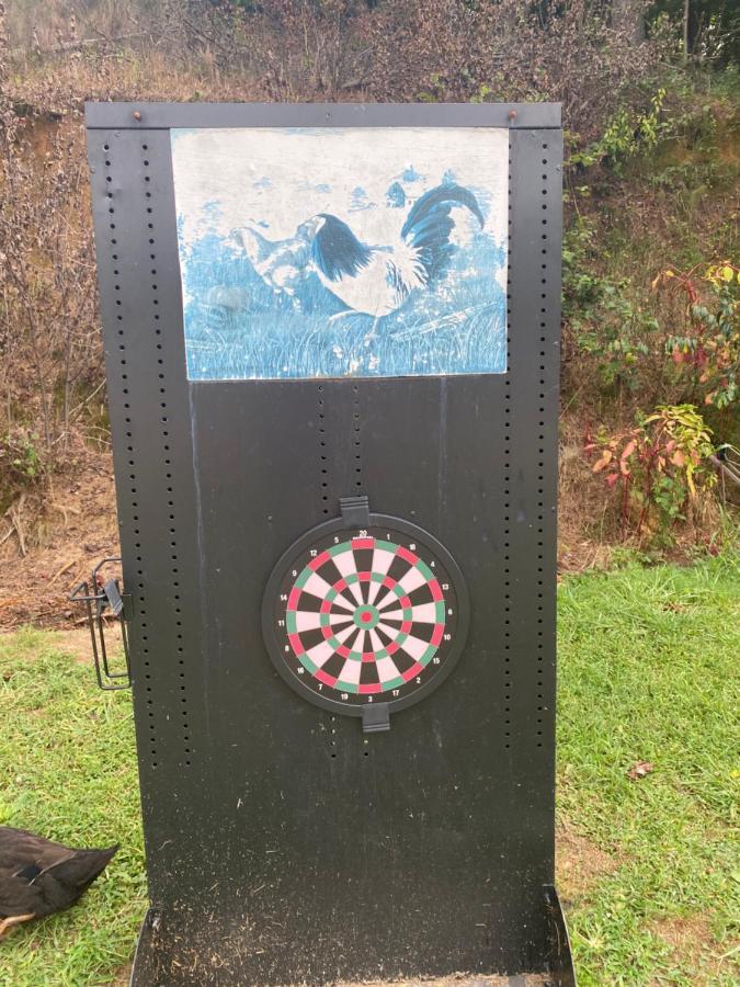 Eagle Mountain River Retreat Ellijay Bagian luar foto